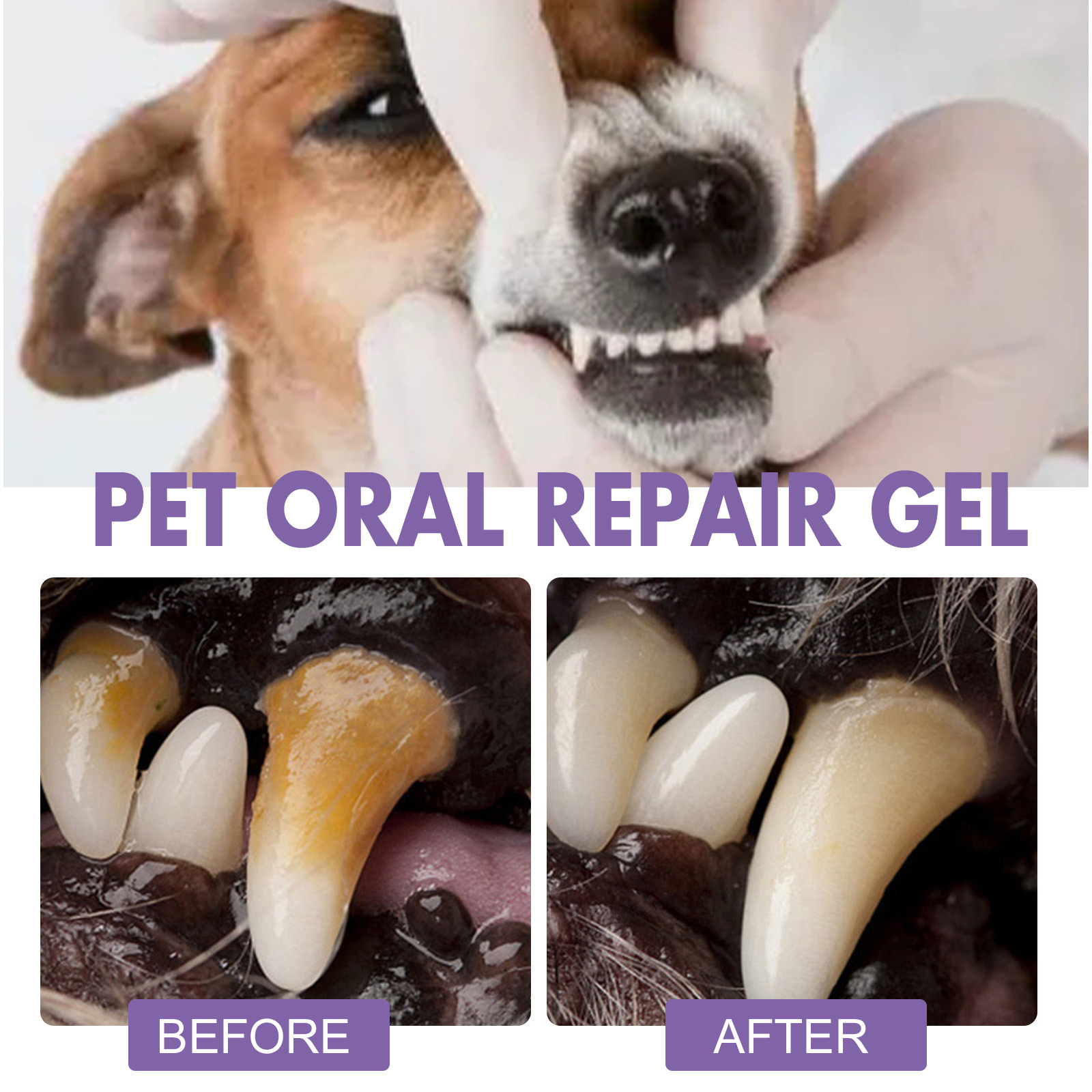 Pet Oral Repair Gel Puppy Tart - огляд і ціна Teeth Whitening Essence
